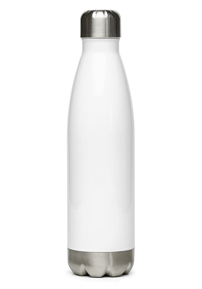 Stainless Steel Water Bottle 17 oz